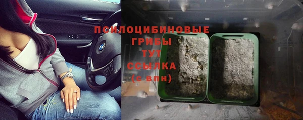 Альфа ПВП Баксан