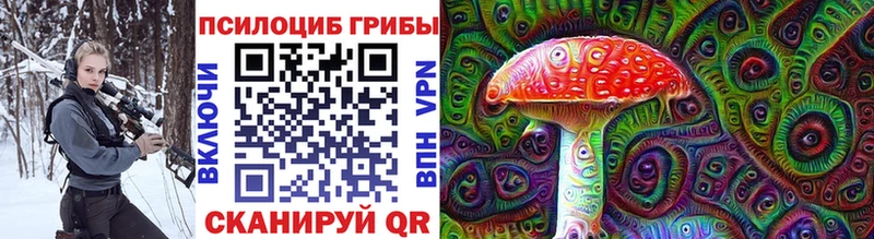 OMG сайт  Ладушкин  Псилоцибиновые грибы MAGIC MUSHROOMS 